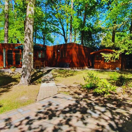 Вилла Wooden Nature Chalet - Dennenrhode Doornspijk Экстерьер фото